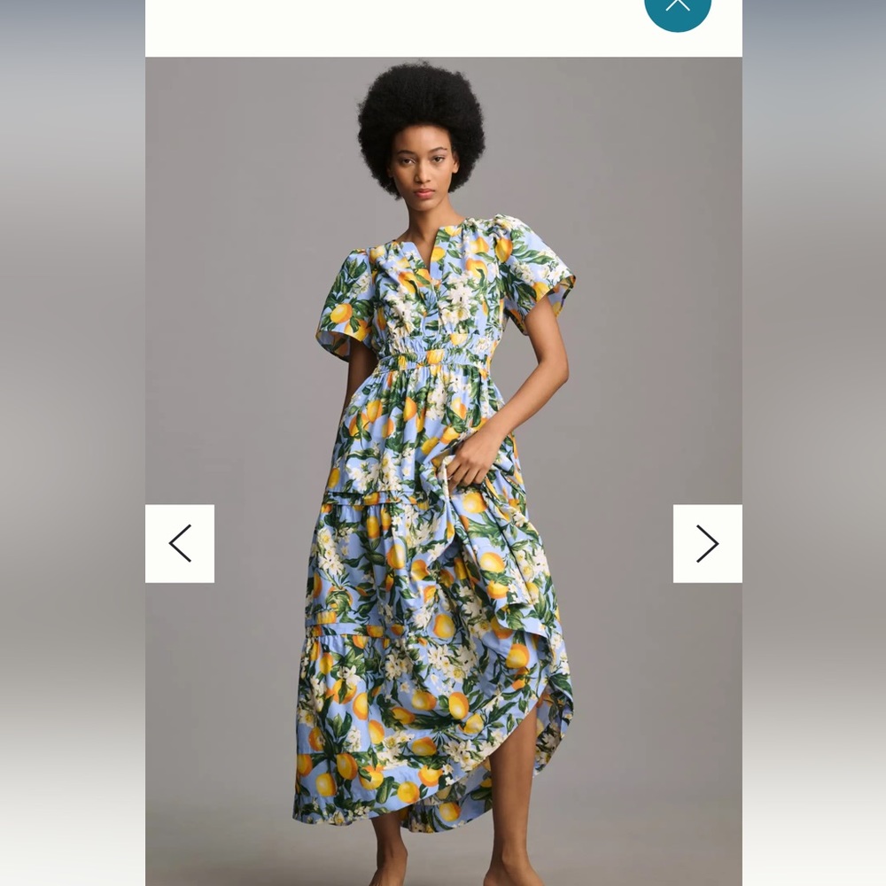 Anthropologie somerset maxi dress